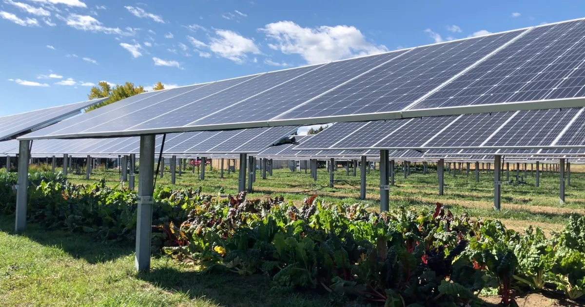 Future of farming and solar