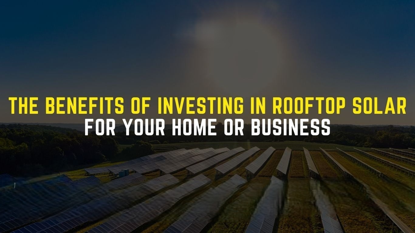Why Every Business Should Invest in Rooftop Solar