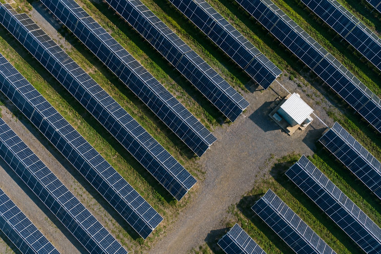 SJVN Green Energy Floats 1 GW Solar EPC Tender in Punjab and Rajasthan